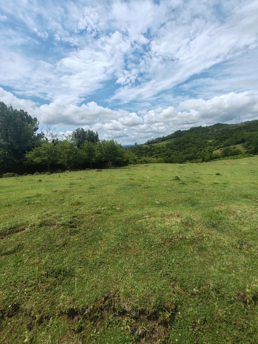 იყიდება სასოფლო სამეურნეო საკარმიდამო მიწის ნაკვეთ