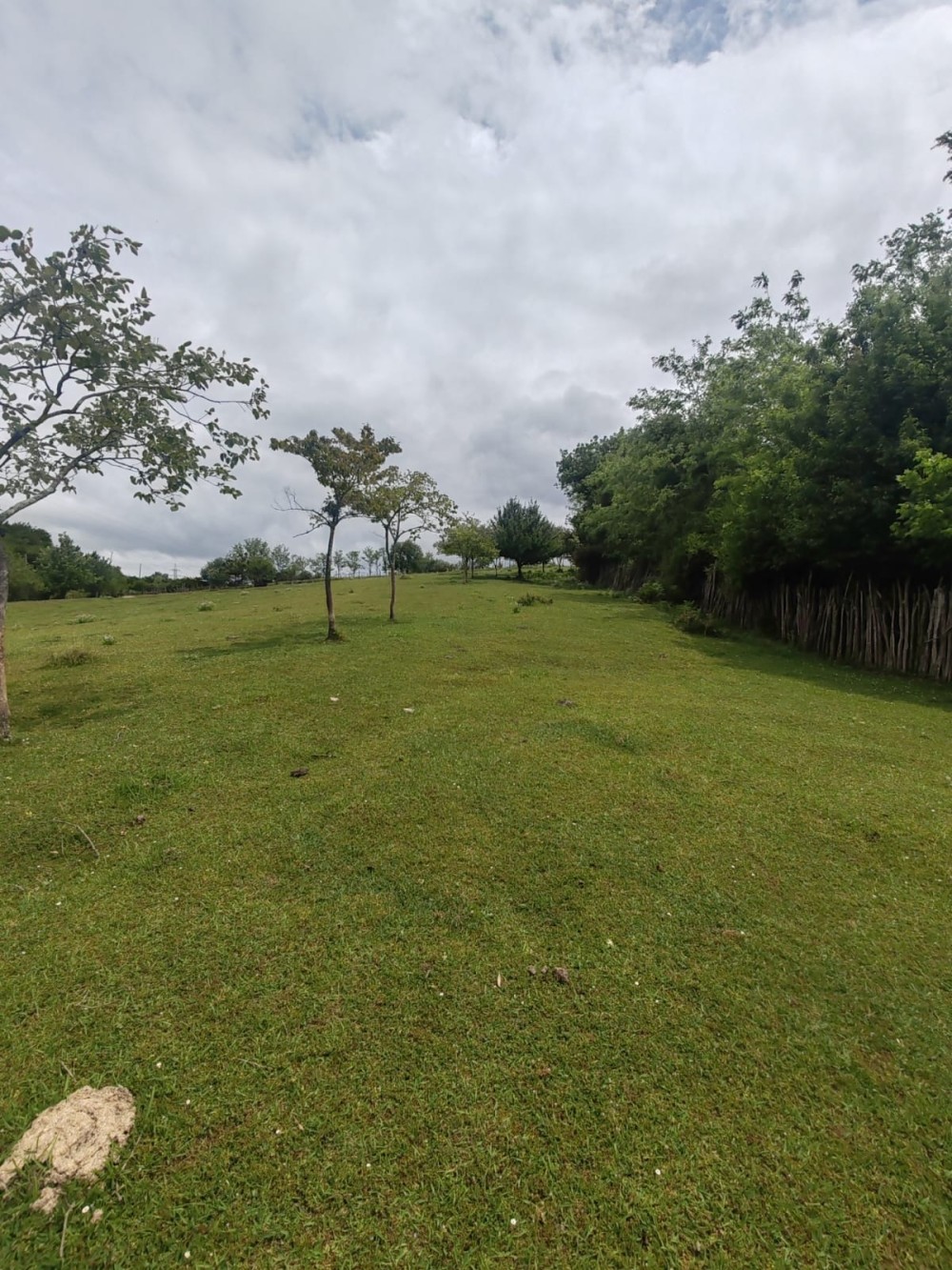 იყიდება სასოფლო სამეურნეო საკარმიდამო მიწის ნაკვეთ