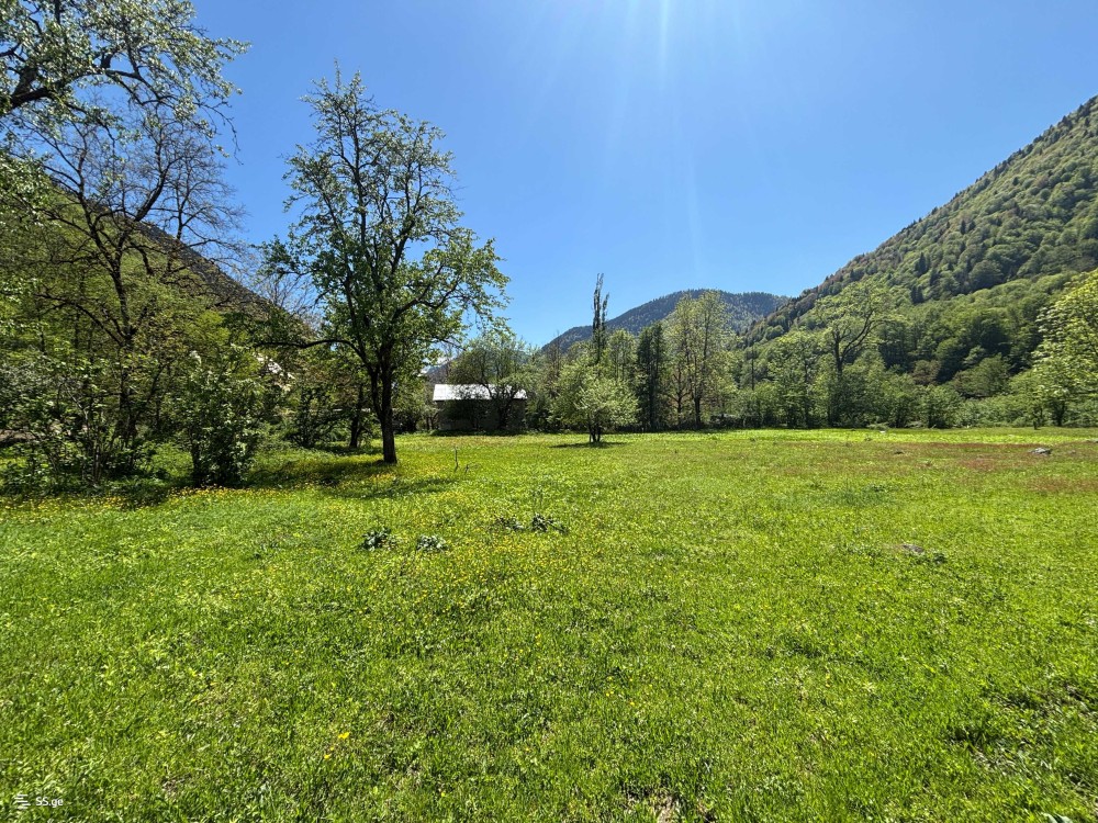 იყიდება მიწის ნაკვეთი მესტიაში