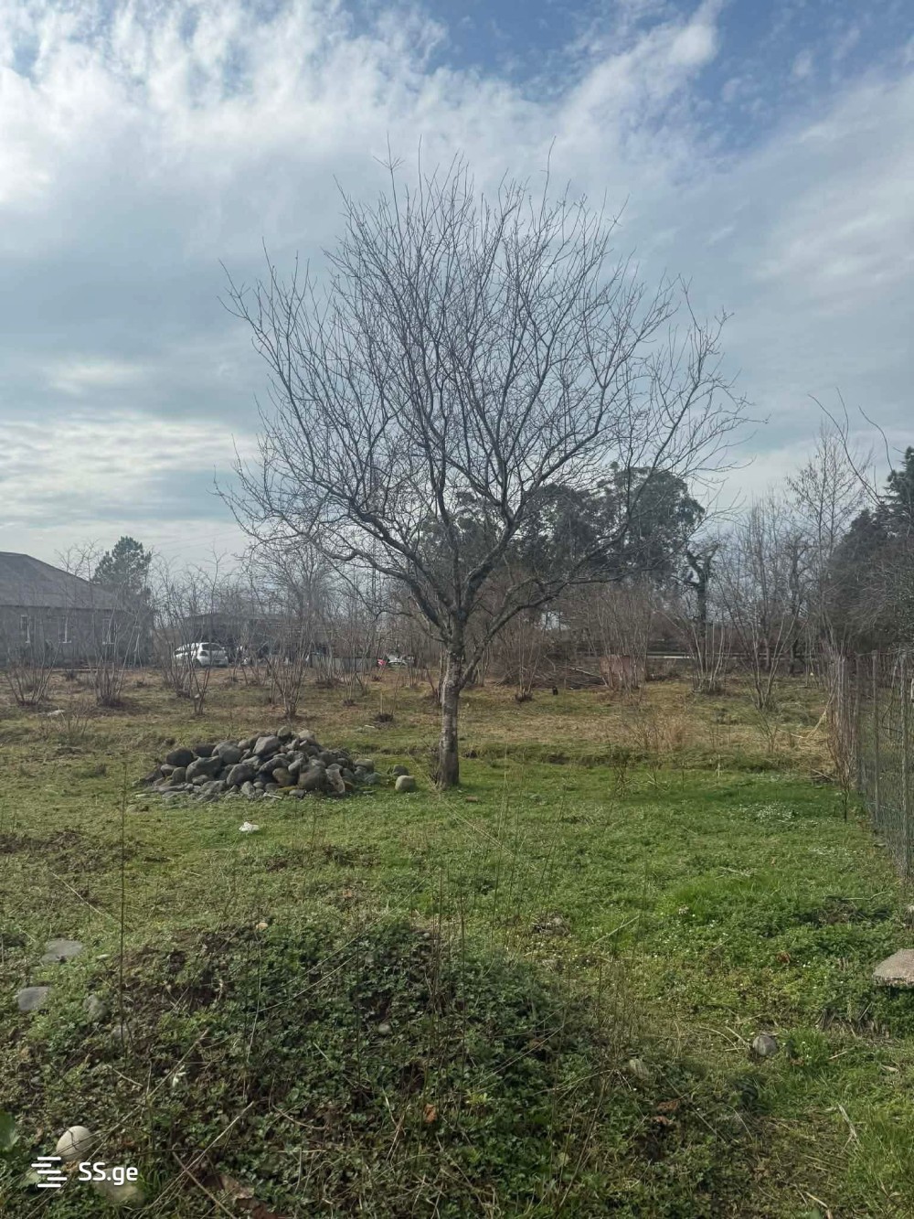 იყიდება მიწის ნაკვეთი ქალაში