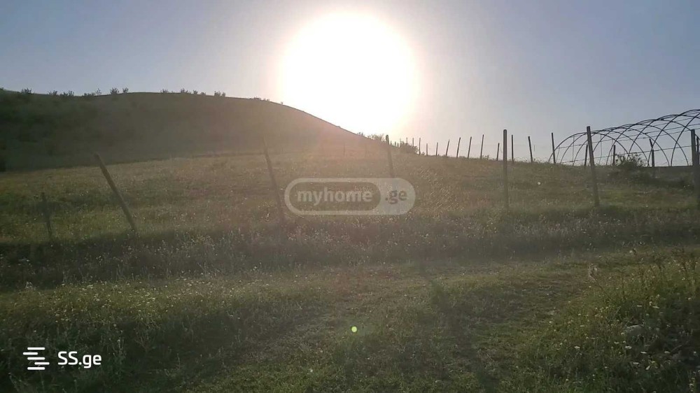 იყიდება მიწის ნაკვეთი უჯარმაში