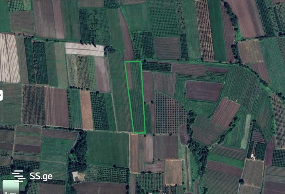 იყიდება მიწის ნაკვეთი გავაზში