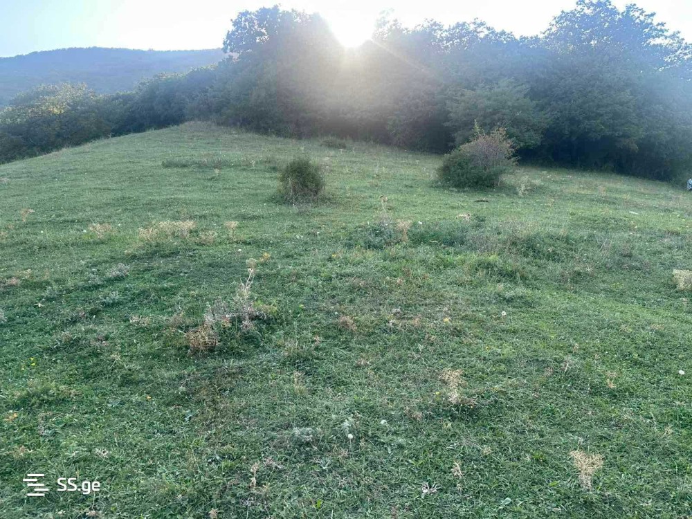 იყიდება მიწის ნაკვეთი მცხეთაში