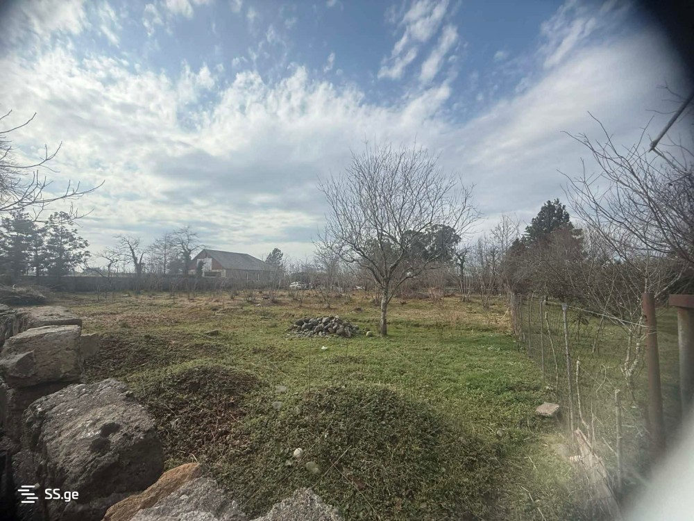 იყიდება მიწის ნაკვეთი ქალაში