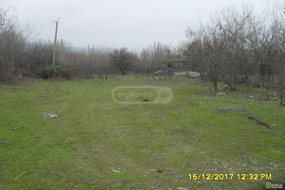 იყიდება კომერციული მიწის ნაკვეთი წნორში