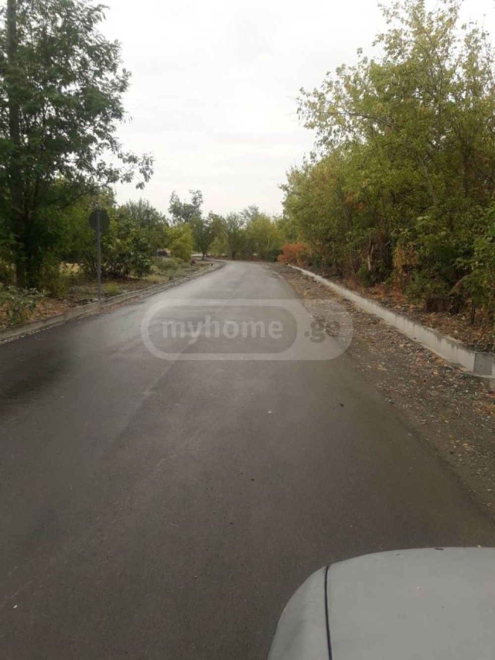 იყიდება კომერციული მიწის ნაკვეთი წნორში