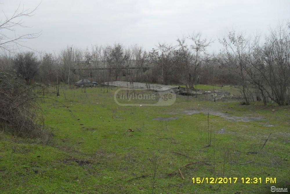 იყიდება კომერციული მიწის ნაკვეთი წნორში