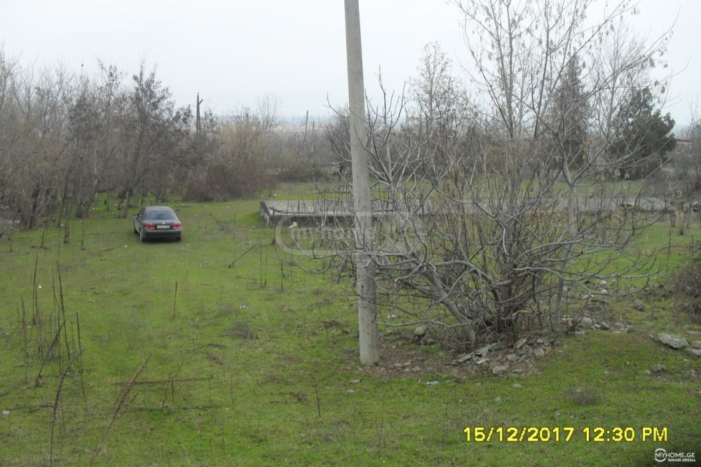 იყიდება კომერციული მიწის ნაკვეთი წნორში