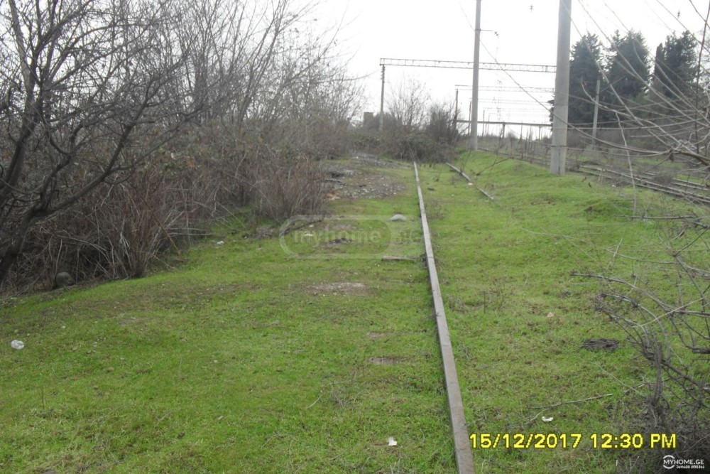 იყიდება კომერციული მიწის ნაკვეთი წნორში