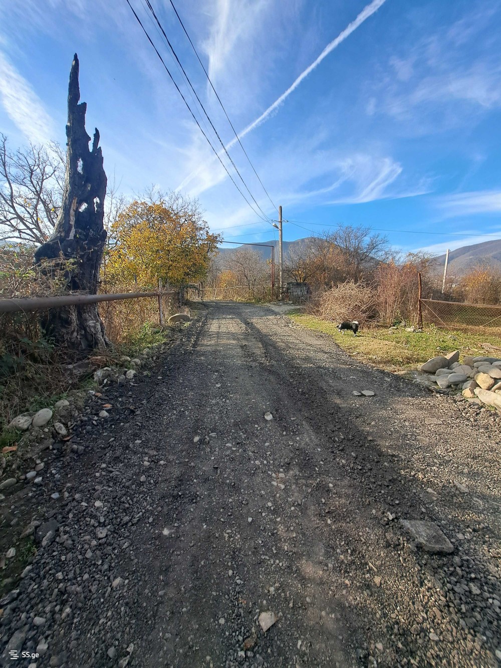 იყიდება მიწის ნაკვეთი ქუბრიანთკარში