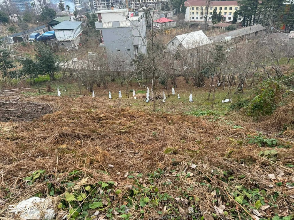 იყიდება მიწის ნაკვეთი მახინჯაურში