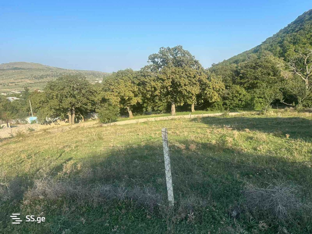 იყიდება მიწის ნაკვეთი მცხეთაში