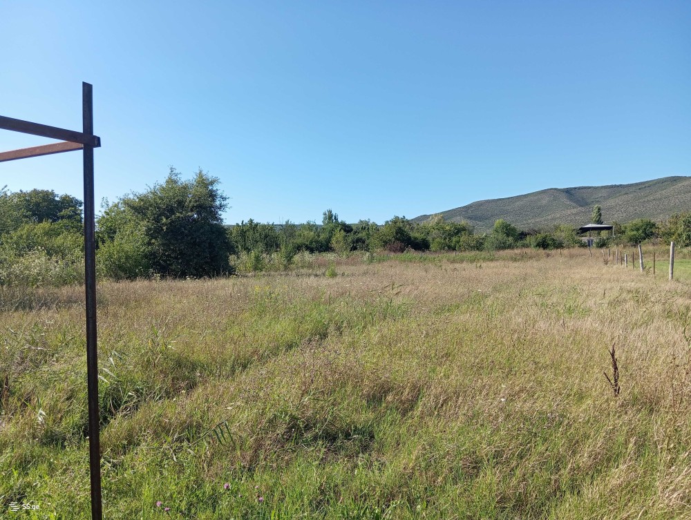 იყიდება მიწის ნაკვეთი წილკანში