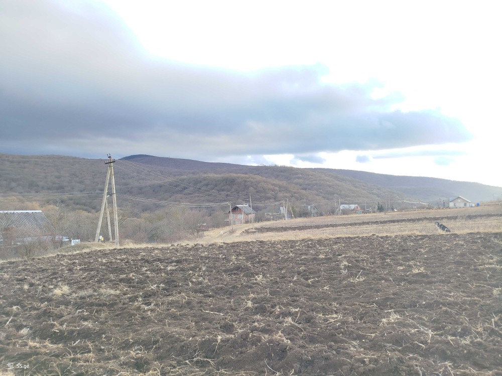 იყიდება მიწის ნაკვეთი ჩუბინიანთკარში