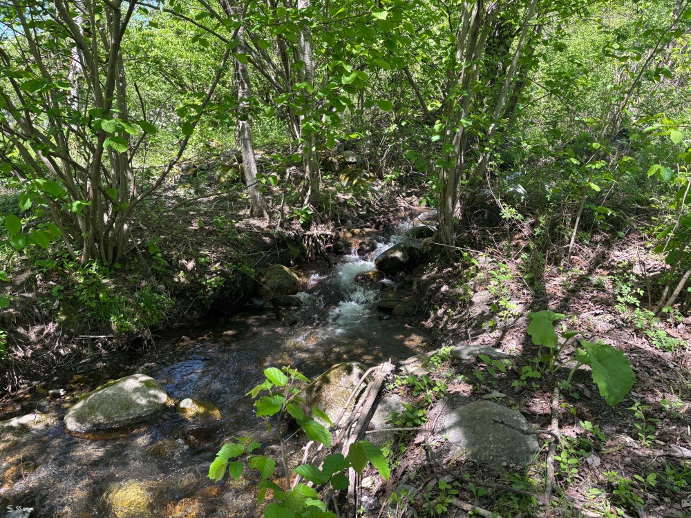 იყიდება მიწის ნაკვეთი მესტიაში