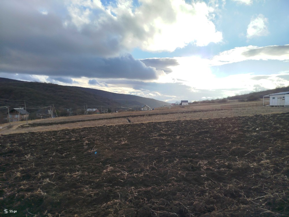 იყიდება მიწის ნაკვეთი ჩუბინიანთკარში