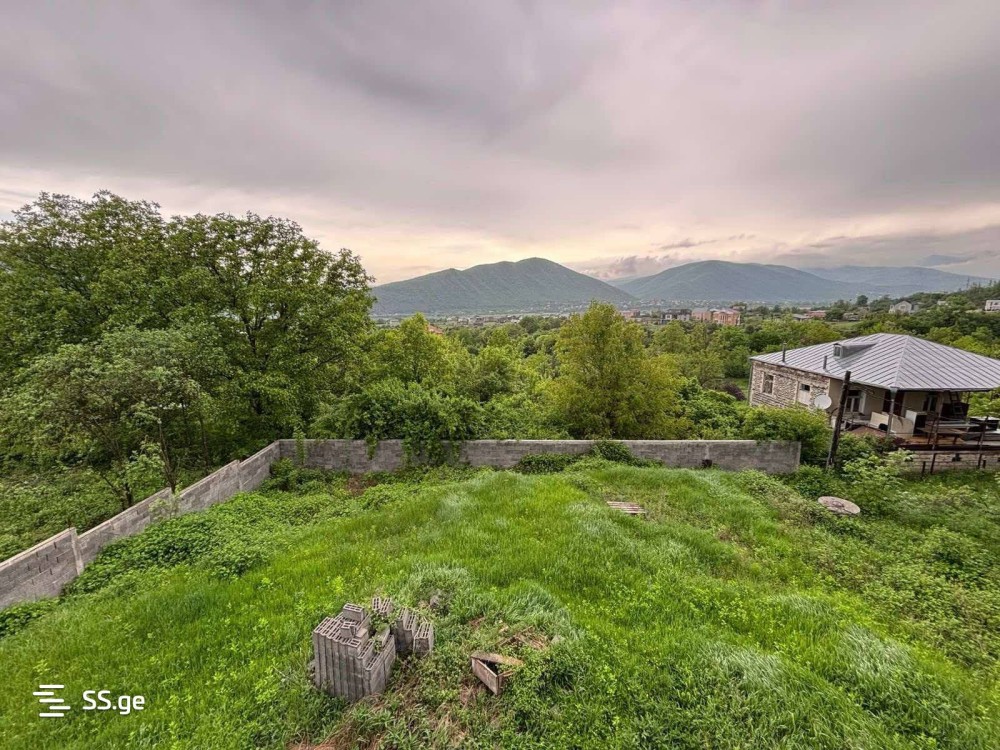 იყიდება 12 ოთახიანი კერძო სახლი ბულაჩაურში