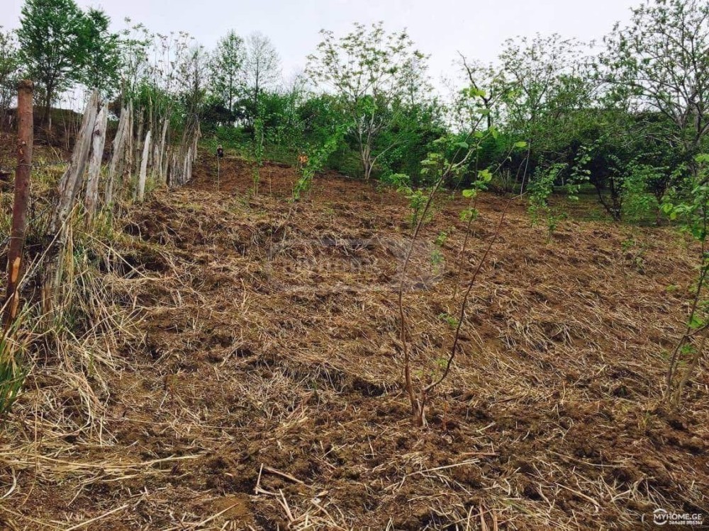 იყიდება სასოფლო-სამეურნეო მიწის ნაკვეთი ბათუმში