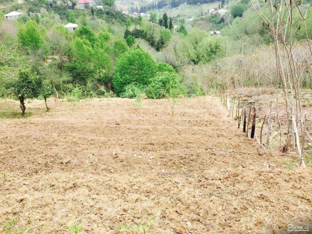 იყიდება სასოფლო-სამეურნეო მიწის ნაკვეთი ბათუმში
