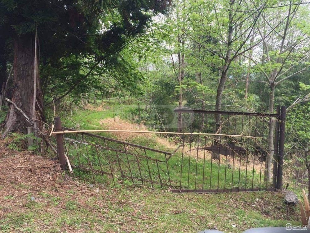 იყიდება სასოფლო-სამეურნეო მიწის ნაკვეთი ბათუმში