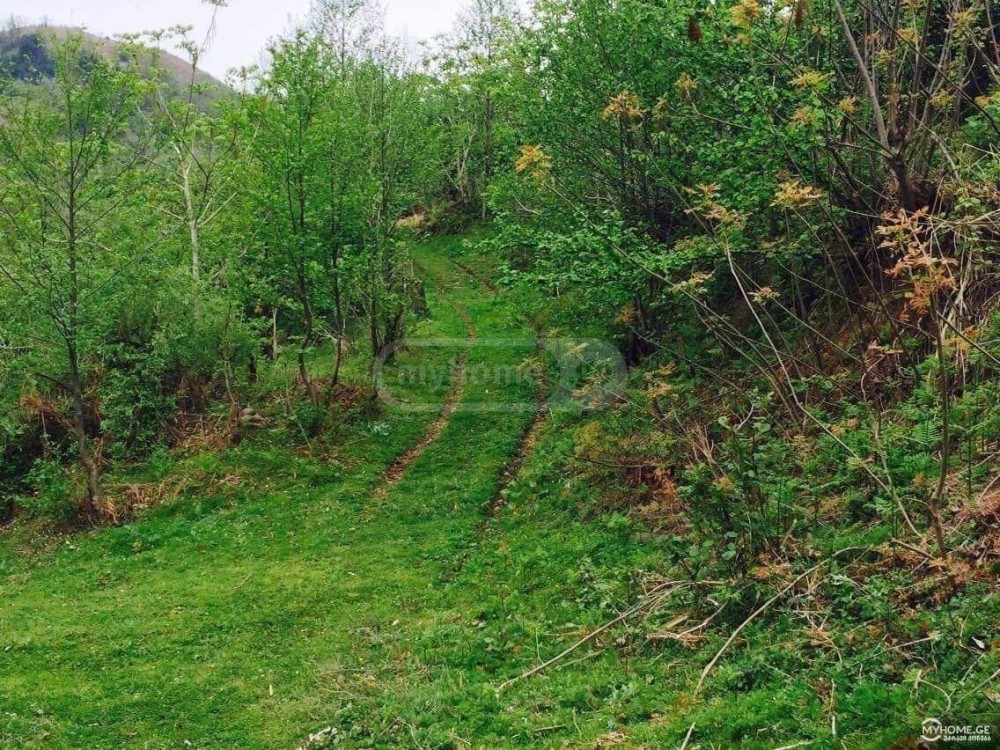 იყიდება სასოფლო-სამეურნეო მიწის ნაკვეთი ბათუმში