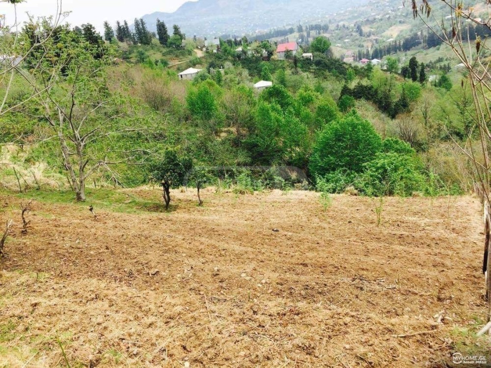 იყიდება სასოფლო-სამეურნეო მიწის ნაკვეთი ბათუმში