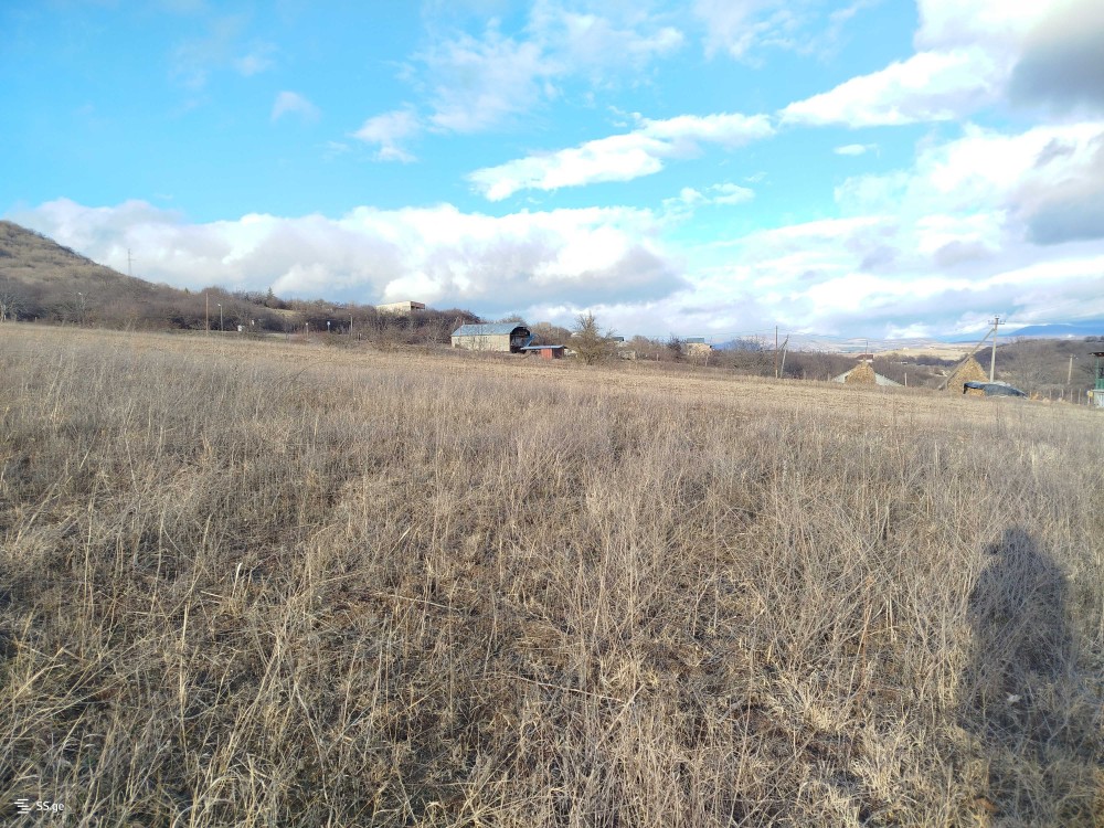 იყიდება მიწის ნაკვეთი ჩუბინიანთკარში