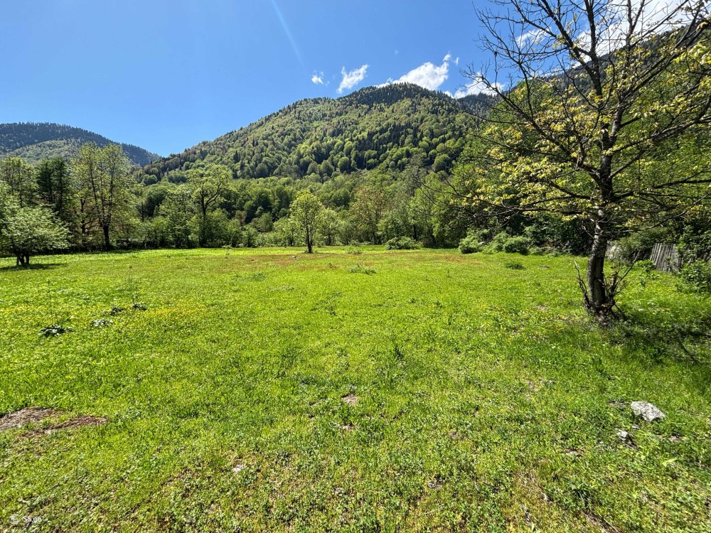 იყიდება მიწის ნაკვეთი მესტიაში