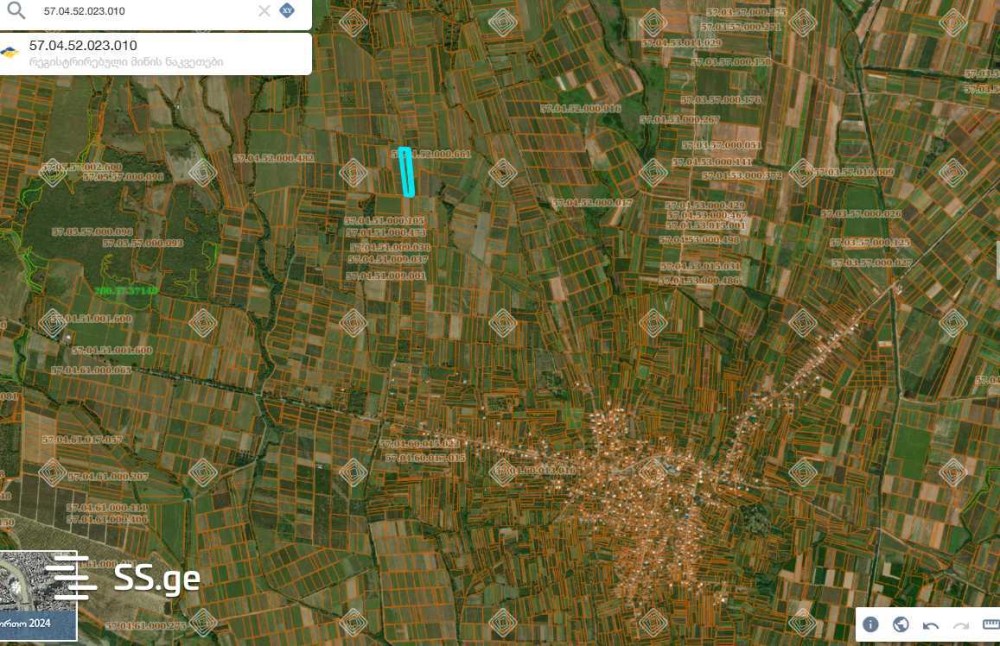 იყიდება მიწის ნაკვეთი გავაზში