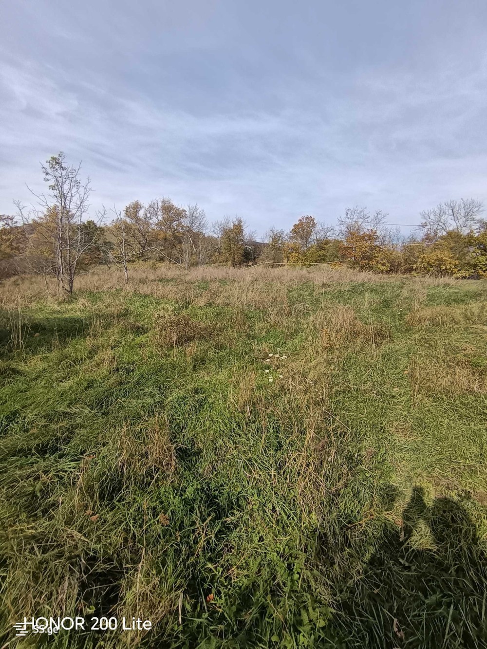 იყიდება მიწის ნაკვეთი მარტყოფში