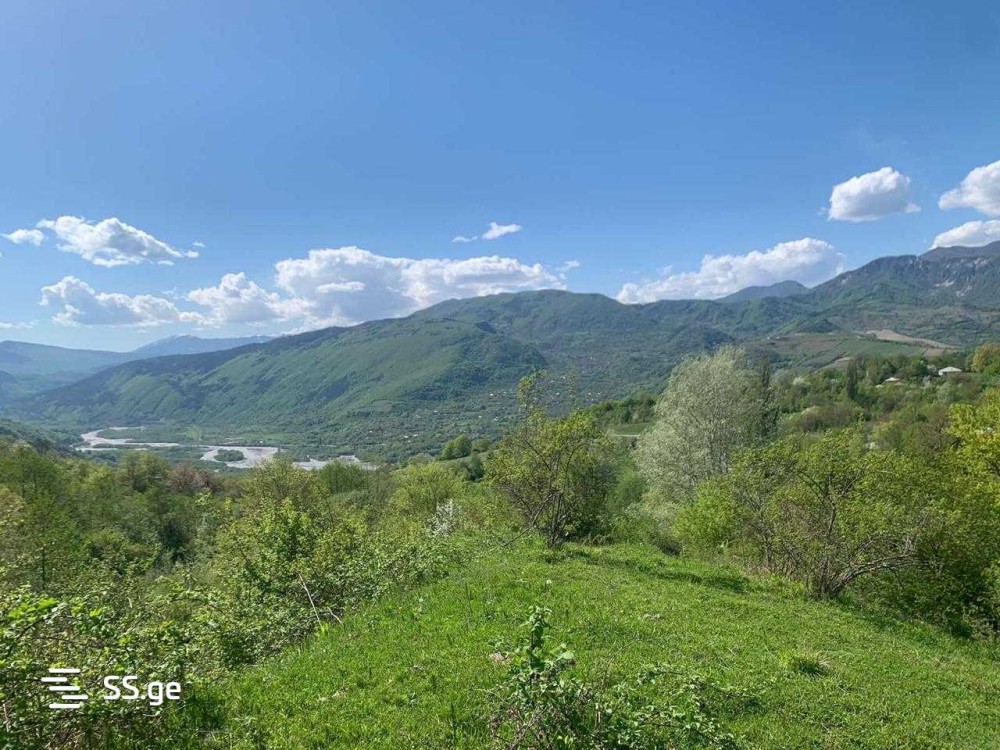 იყიდება მიწის ნაკვეთი ღადიშში