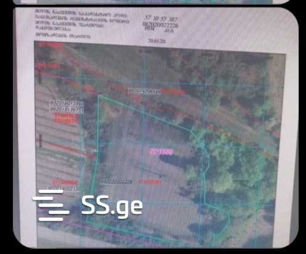 იყიდება მიწის ნაკვეთი გრემში