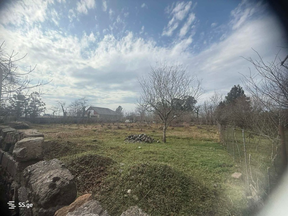 იყიდება მიწის ნაკვეთი ქალაში