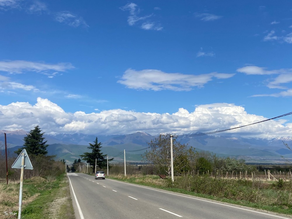 იყიდება მიწის ნაკვეთი თელავში