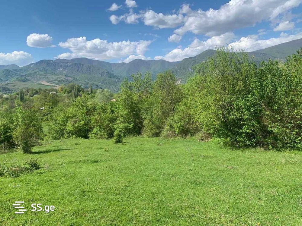 იყიდება მიწის ნაკვეთი ღადიშში