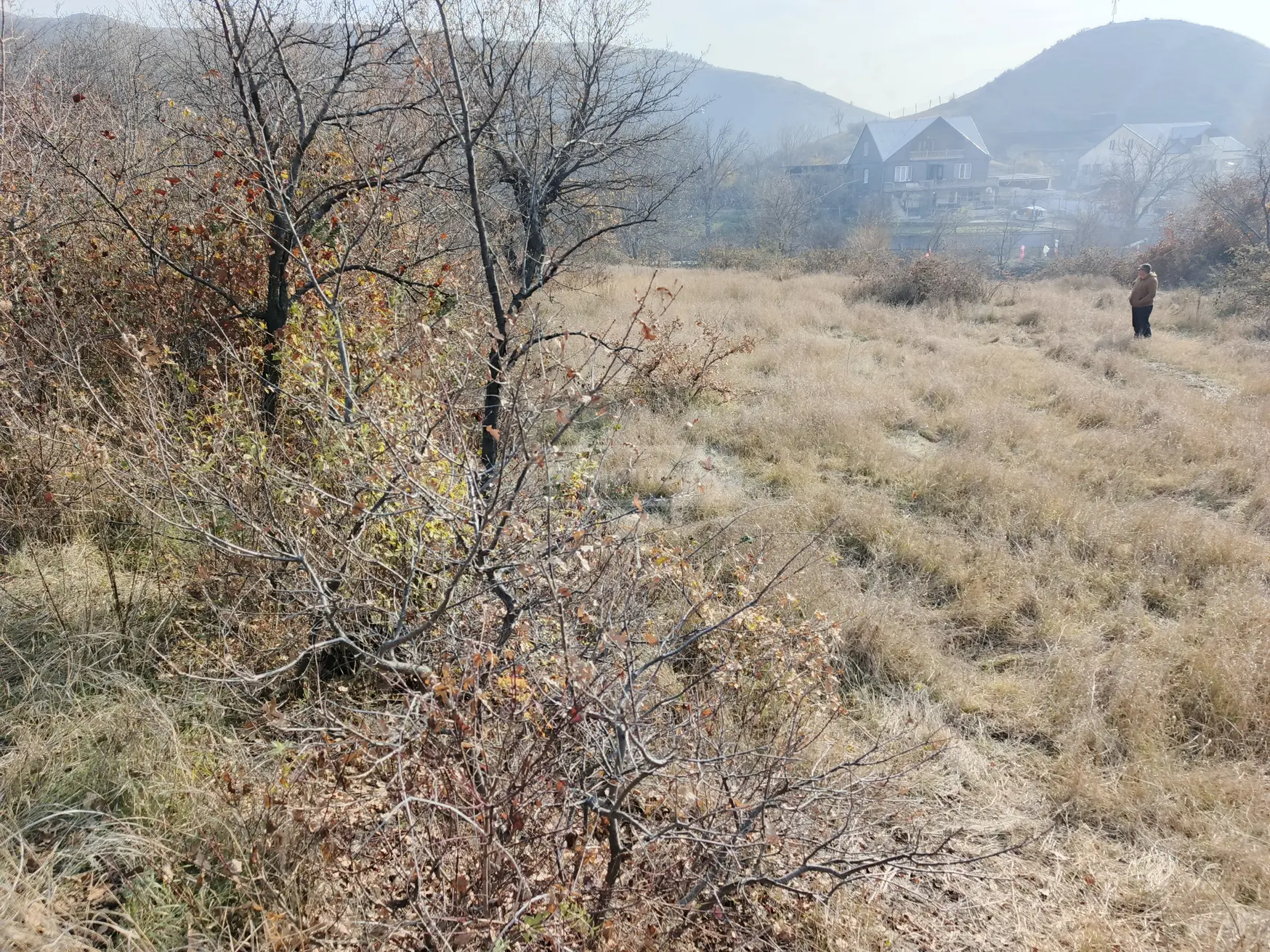 იყიდება სასოფლო-სამეურნეო მიწის ნაკვეთი კასპში