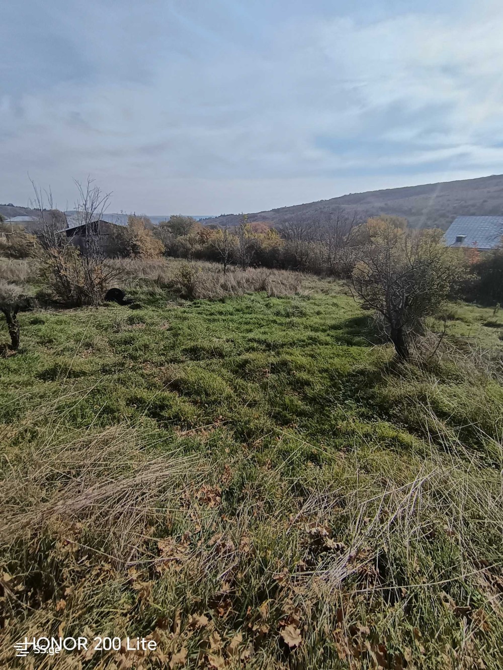იყიდება მიწის ნაკვეთი