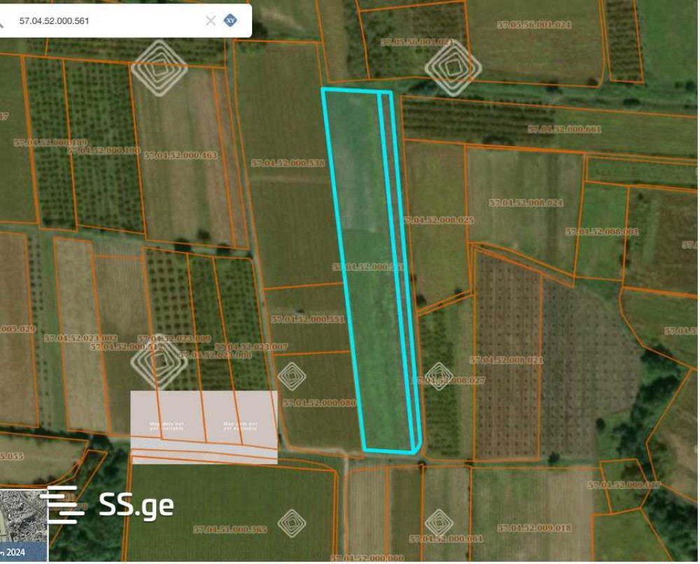 იყიდება მიწის ნაკვეთი გავაზში