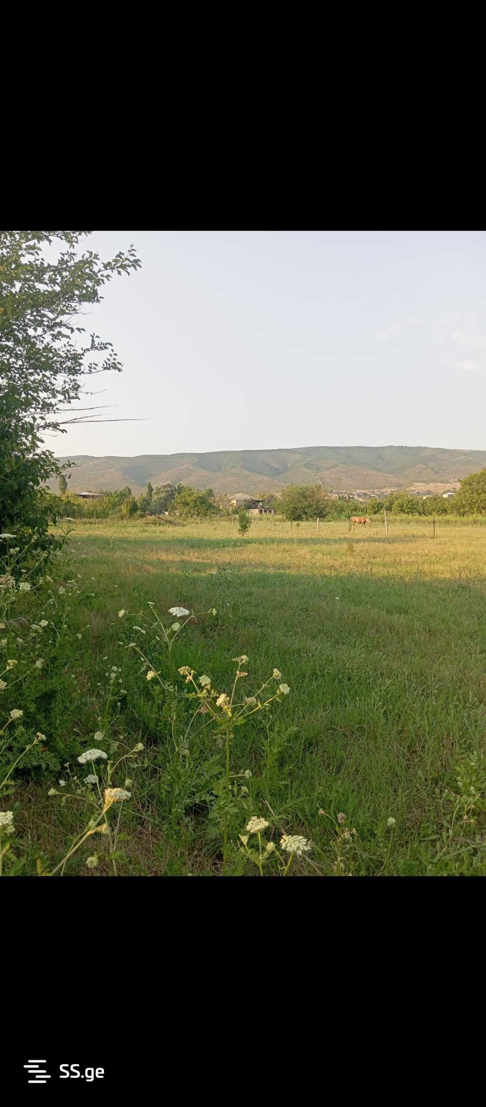 იყიდება მიწის ნაკვეთი წილკანში