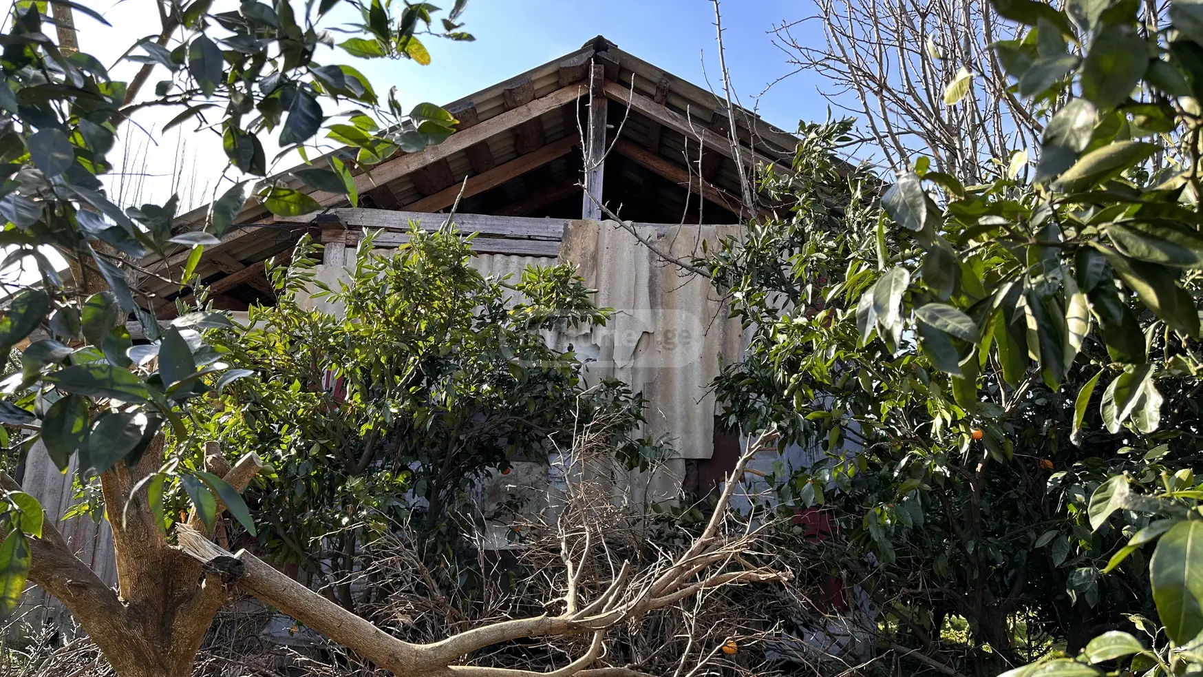 იყიდება სასოფლო-სამეურნეო მიწის ნაკვეთი ხელვაჩაურის მუნიციპალიტეტში