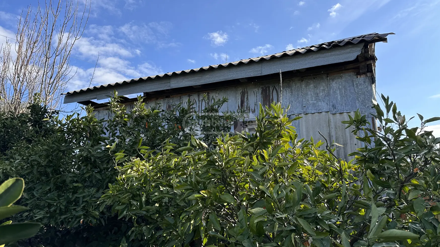 იყიდება სასოფლო-სამეურნეო მიწის ნაკვეთი ხელვაჩაურის მუნიციპალიტეტში