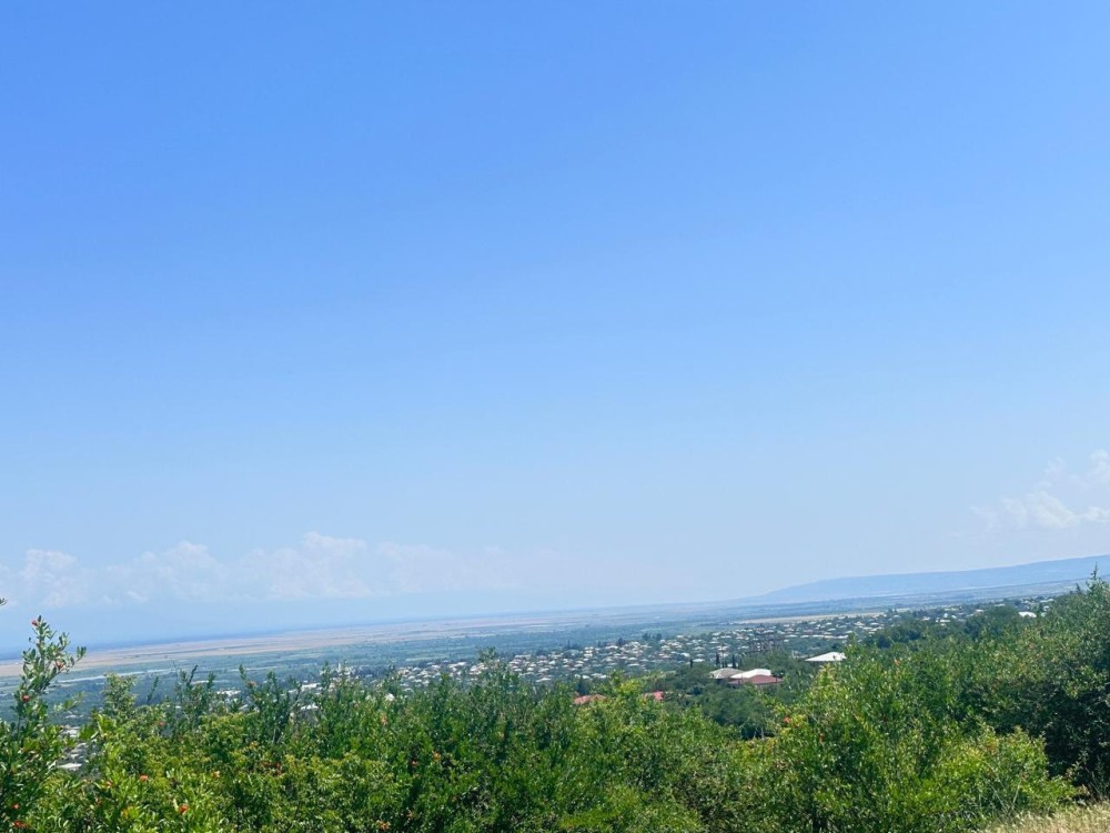 იყიდება მიწის ნაკვეთი წნორი–სიღნაღის დამაკავშირებელ გზაზე