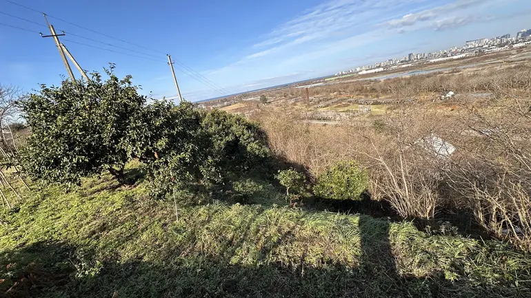 იყიდება სასოფლო-სამეურნეო მიწის ნაკვეთი ხელვაჩაურის მუნიციპალიტეტში