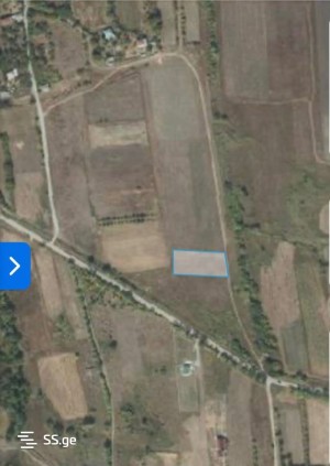 იყიდება მიწის ნაკვეთი გუდანელებში