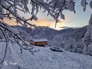 🏡 იყიდება 4 ოთახიანი ხის კერძო სახლი ზემო არტანში, თიანეთთან ახლოს