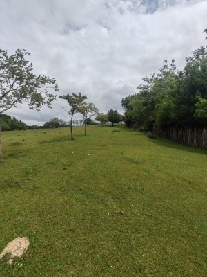 იყიდება სასოფლო სამეურნეო საკარმიდამო მიწის ნაკვეთ