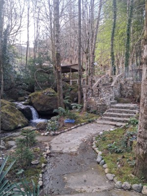 ზემო თხილნარი