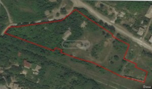 იყიდება კომერციული მიწის ნაკვეთი წნორში