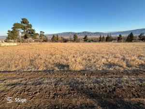 იყიდება მიწის ნაკვეთი წეროვანში