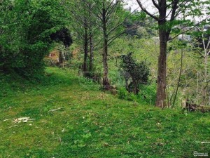 იყიდება სასოფლო-სამეურნეო მიწის ნაკვეთი ბათუმში